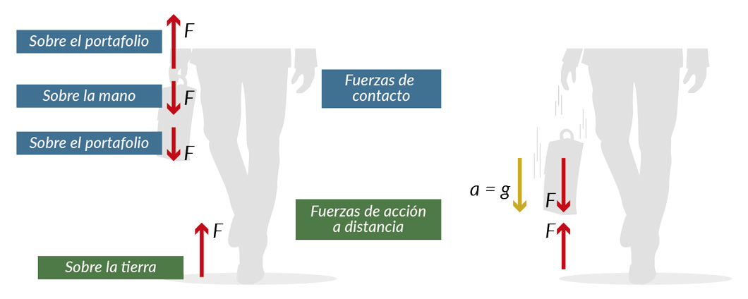 Pares de fuerzas de la tercera ley de Newton 