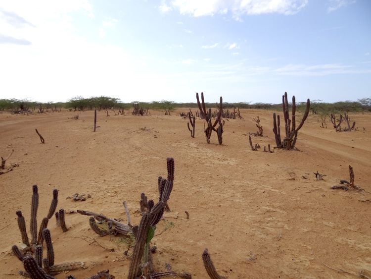 Desierto de la Guajira