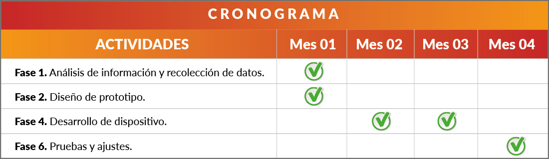 Cronograma